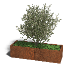Cortenstaal plantenbak Texas xxl 160 x 50 cm